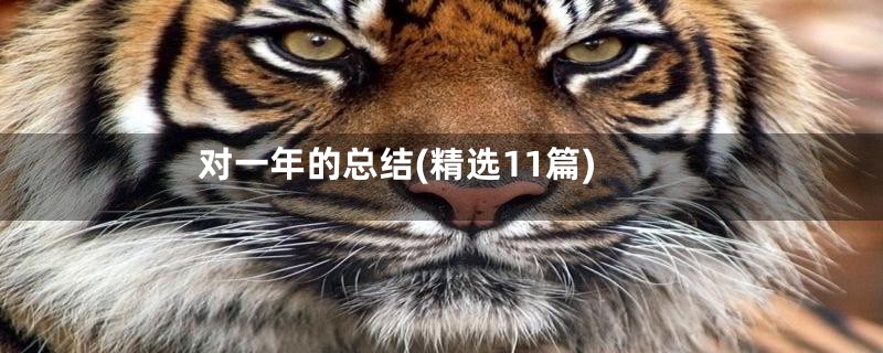 对一年的总结(精选11篇)