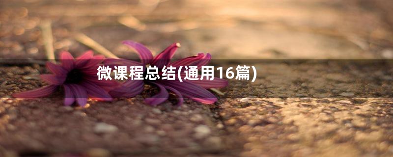微课程总结(通用16篇)