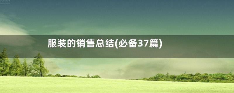 服装的销售总结(必备37篇)