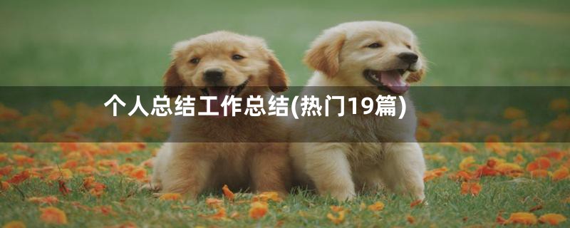 个人总结工作总结(热门19篇)