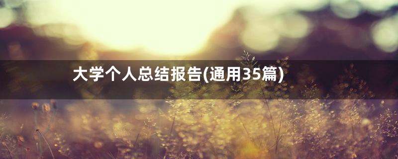 大学个人总结报告(通用35篇)