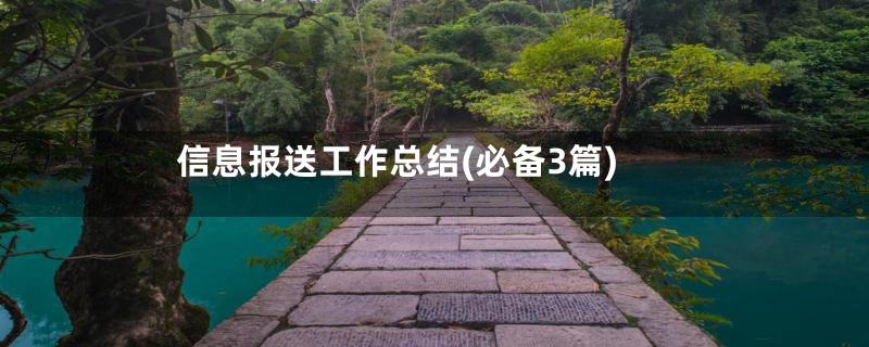 信息报送工作总结(必备3篇)