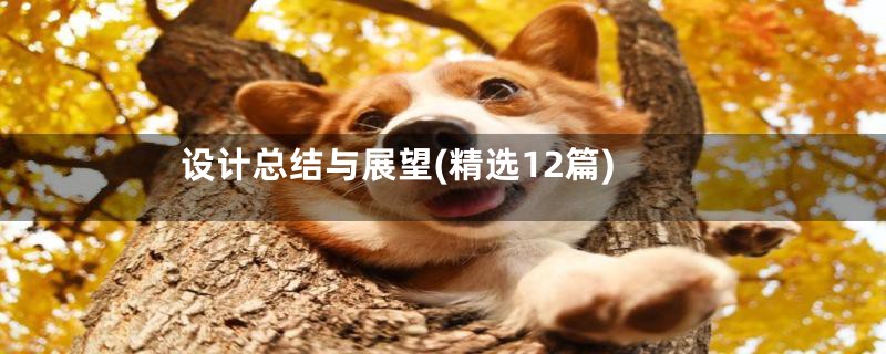 设计总结与展望(精选12篇)