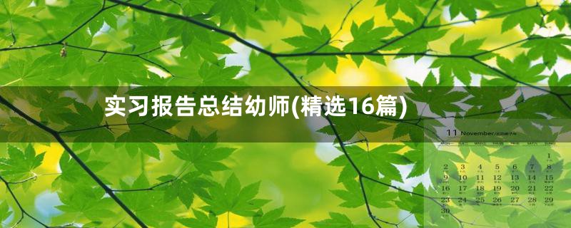 实习报告总结幼师(精选16篇)