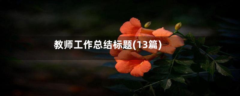 教师工作总结标题(13篇)