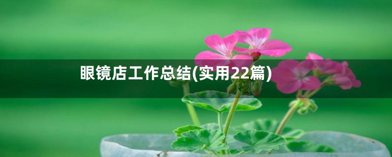 眼镜店工作总结(实用22篇)