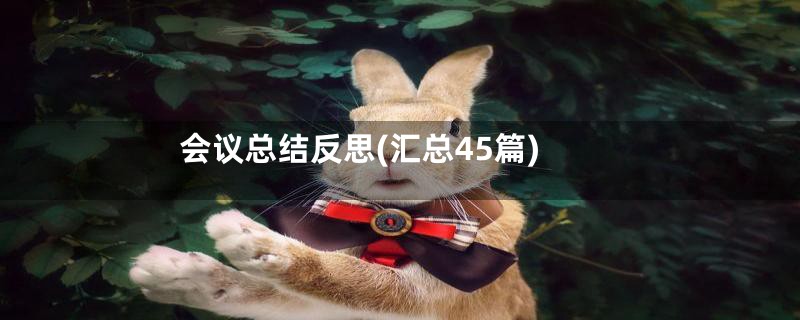 会议总结反思(汇总45篇)