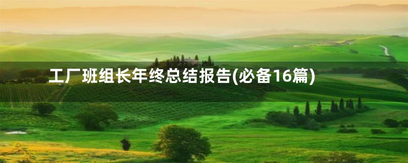 工厂班组长年终总结报告(必备16篇)