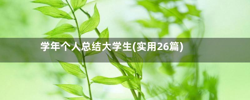 学年个人总结大学生(实用26篇)