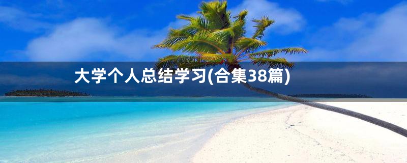 大学个人总结学习(合集38篇)