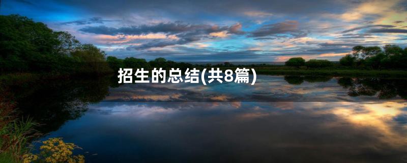 招生的总结(共8篇)