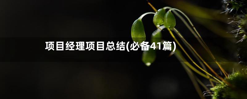 项目经理项目总结(必备41篇)