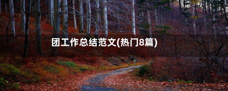团工作总结范文(热门8篇)
