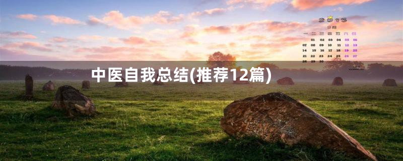 中医自我总结(推荐12篇)
