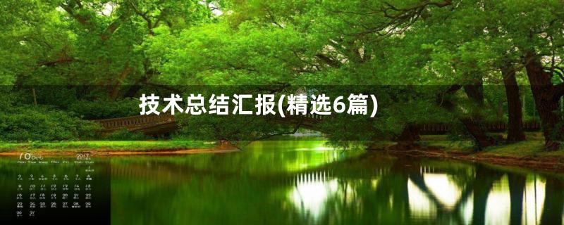 技术总结汇报(精选6篇)
