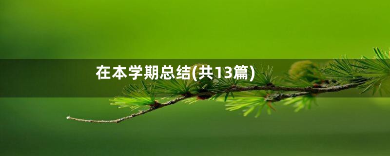 在本学期总结(共13篇)
