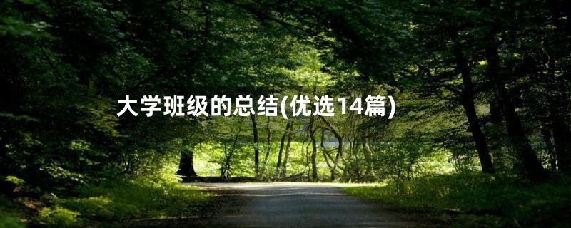 大学班级的总结(优选14篇)