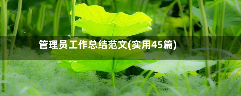 管理员工作总结范文(实用45篇)