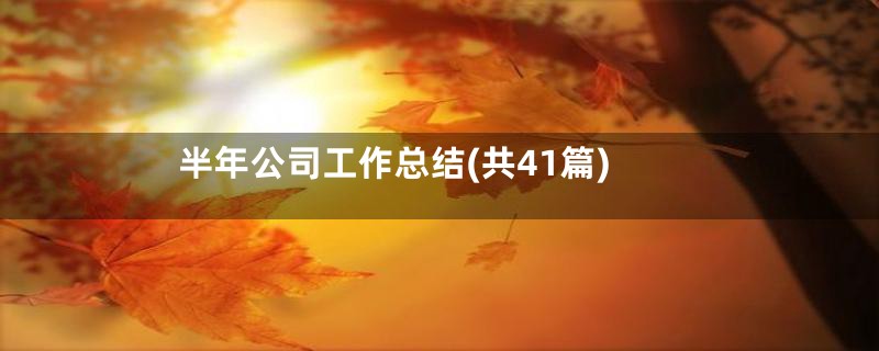半年公司工作总结(共41篇)