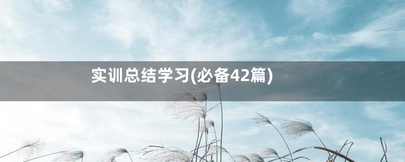 实训总结学习(必备42篇)