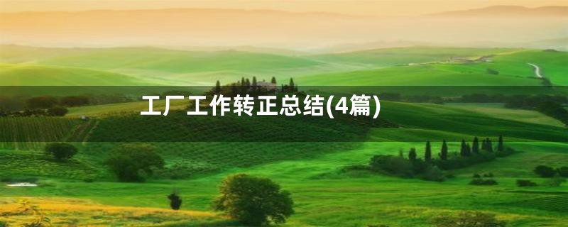 工厂工作转正总结(4篇)
