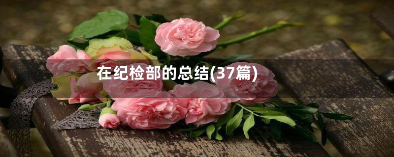在纪检部的总结(37篇)