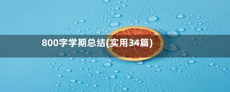 800字学期总结(实用34篇)