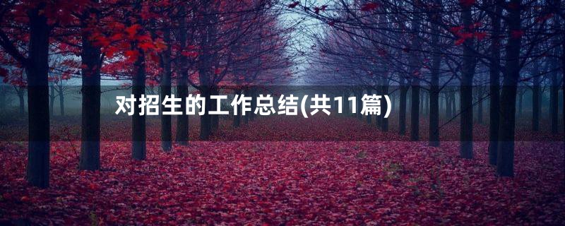 对招生的工作总结(共11篇)