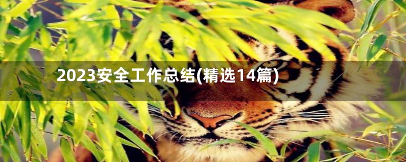 2023安全工作总结(精选14篇)