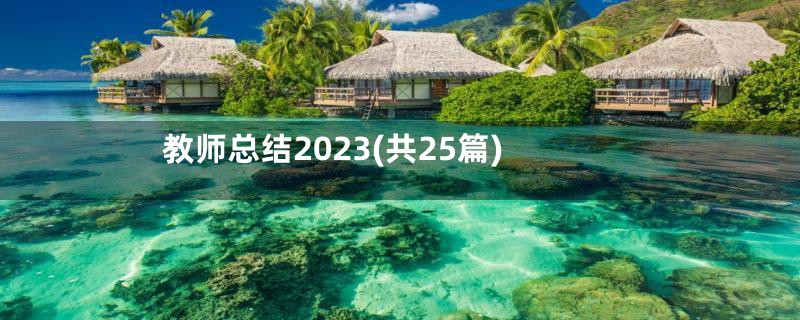 教师总结2023(共25篇)