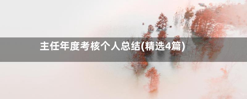 主任年度考核个人总结(精选4篇)