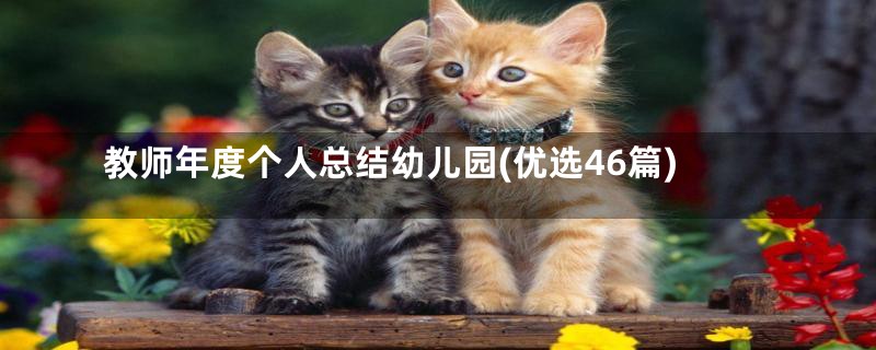 教师年度个人总结幼儿园(优选46篇)
