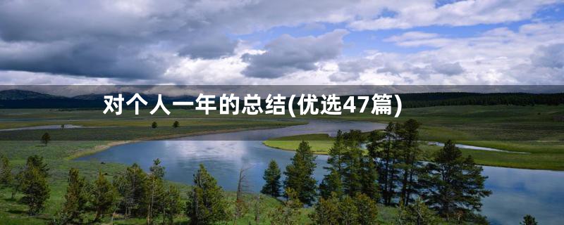 对个人一年的总结(优选47篇)