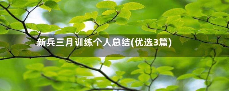 新兵三月训练个人总结(优选3篇)