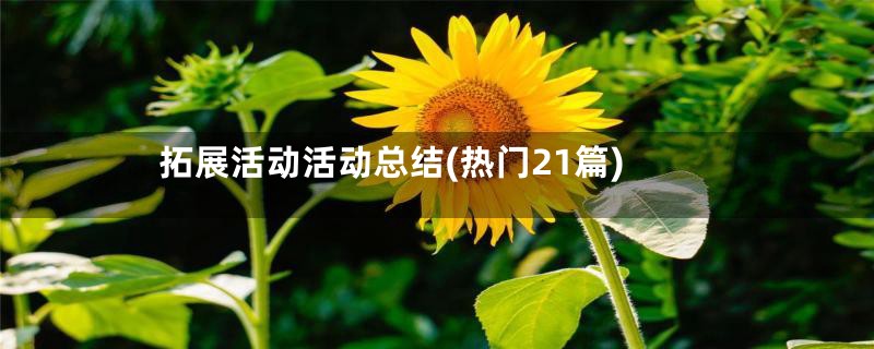 拓展活动活动总结(热门21篇)