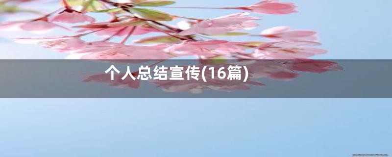 个人总结宣传(16篇)