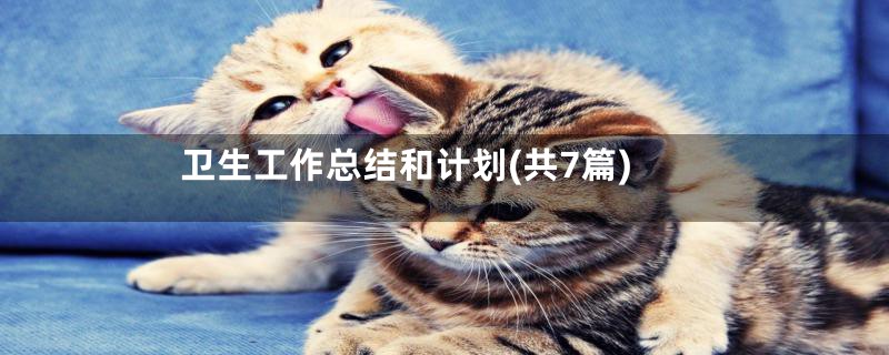 卫生工作总结和计划(共7篇)