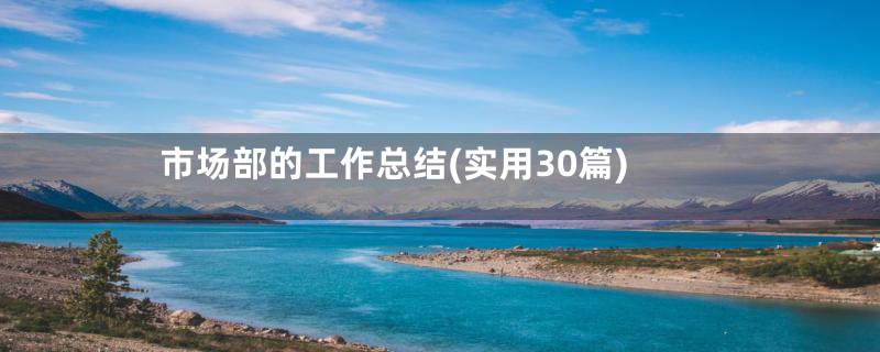 市场部的工作总结(实用30篇)