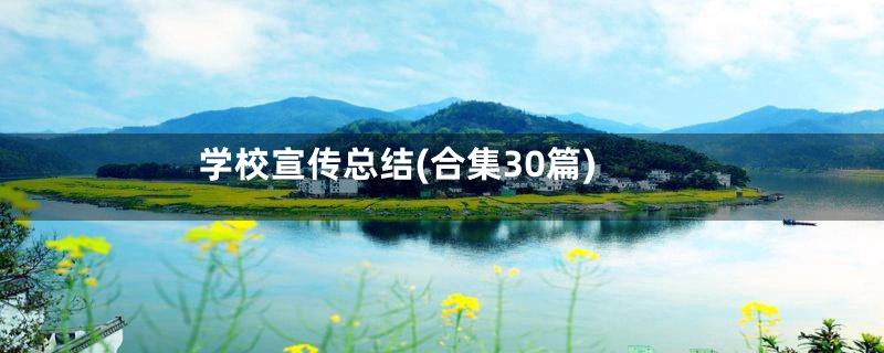 学校宣传总结(合集30篇)