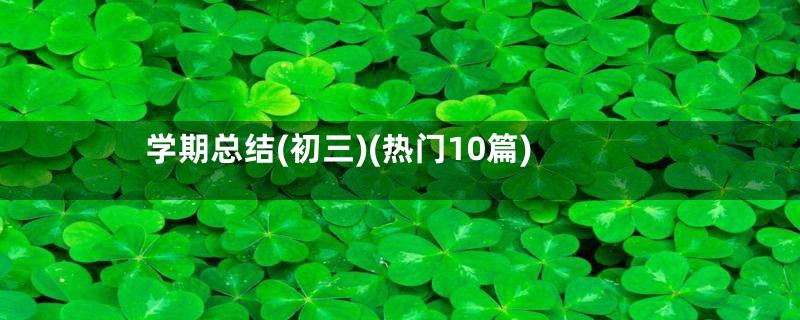 学期总结(初三)(热门10篇)