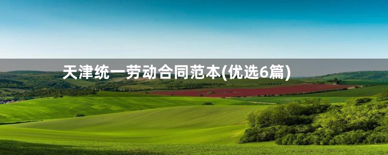 天津统一劳动合同范本(优选6篇)