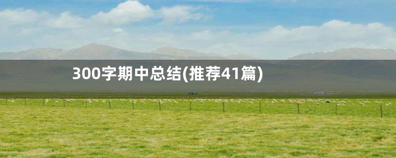 300字期中总结(推荐41篇)