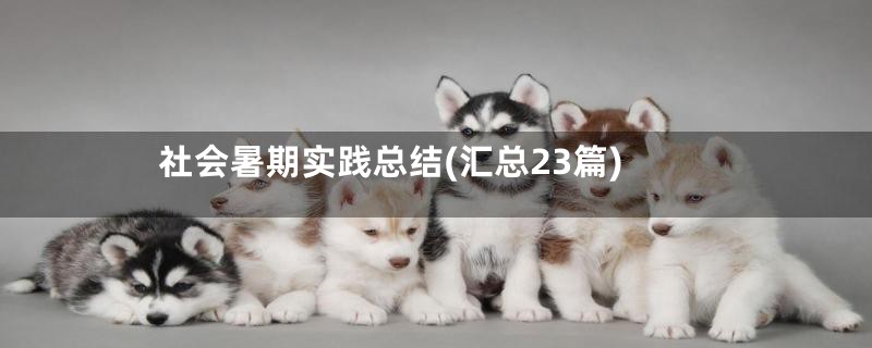 社会暑期实践总结(汇总23篇)