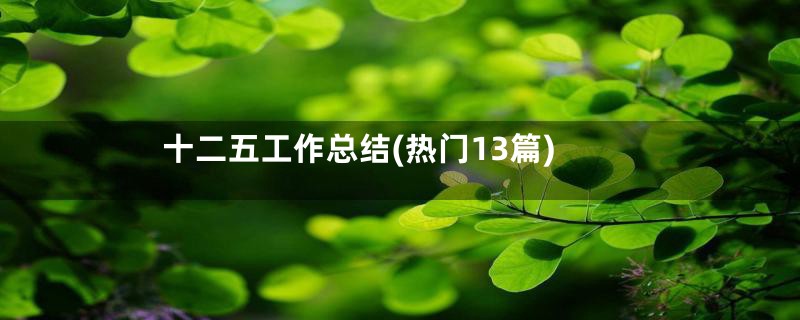 十二五工作总结(热门13篇)