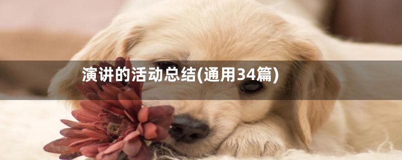 演讲的活动总结(通用34篇)