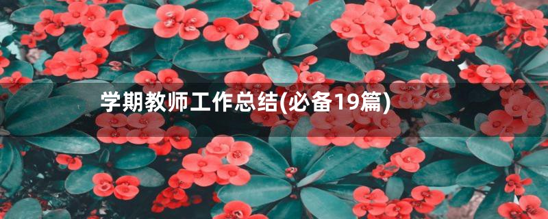 学期教师工作总结(必备19篇)