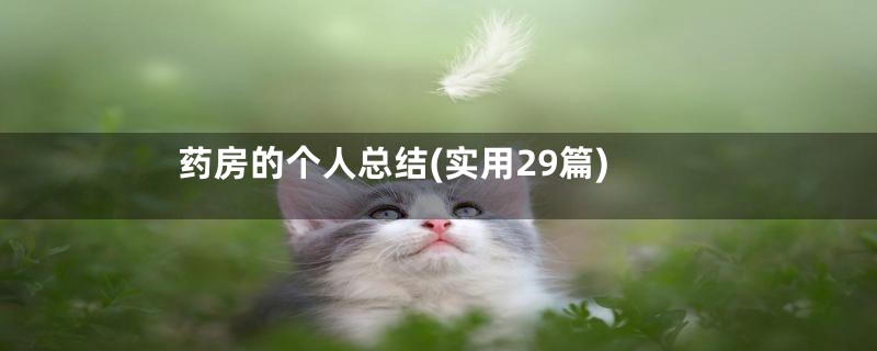 药房的个人总结(实用29篇)