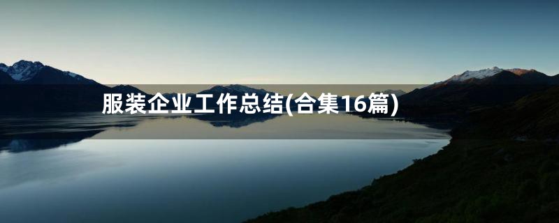 服装企业工作总结(合集16篇)