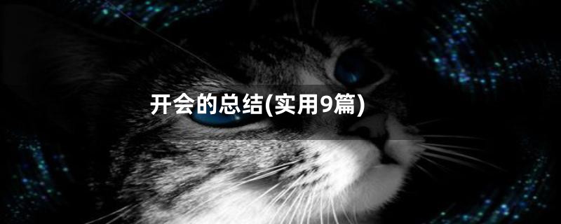 开会的总结(实用9篇)