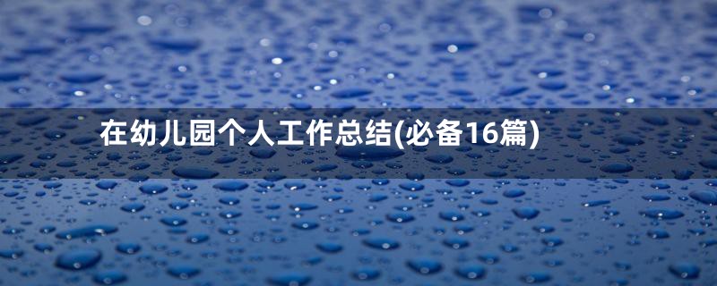 在幼儿园个人工作总结(必备16篇)